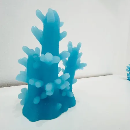 Infinity Sea Balcony Daire *